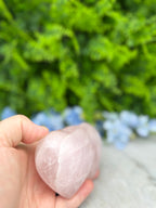 A hand holding a pink crystal in front of a blurred green background with blue flowers.