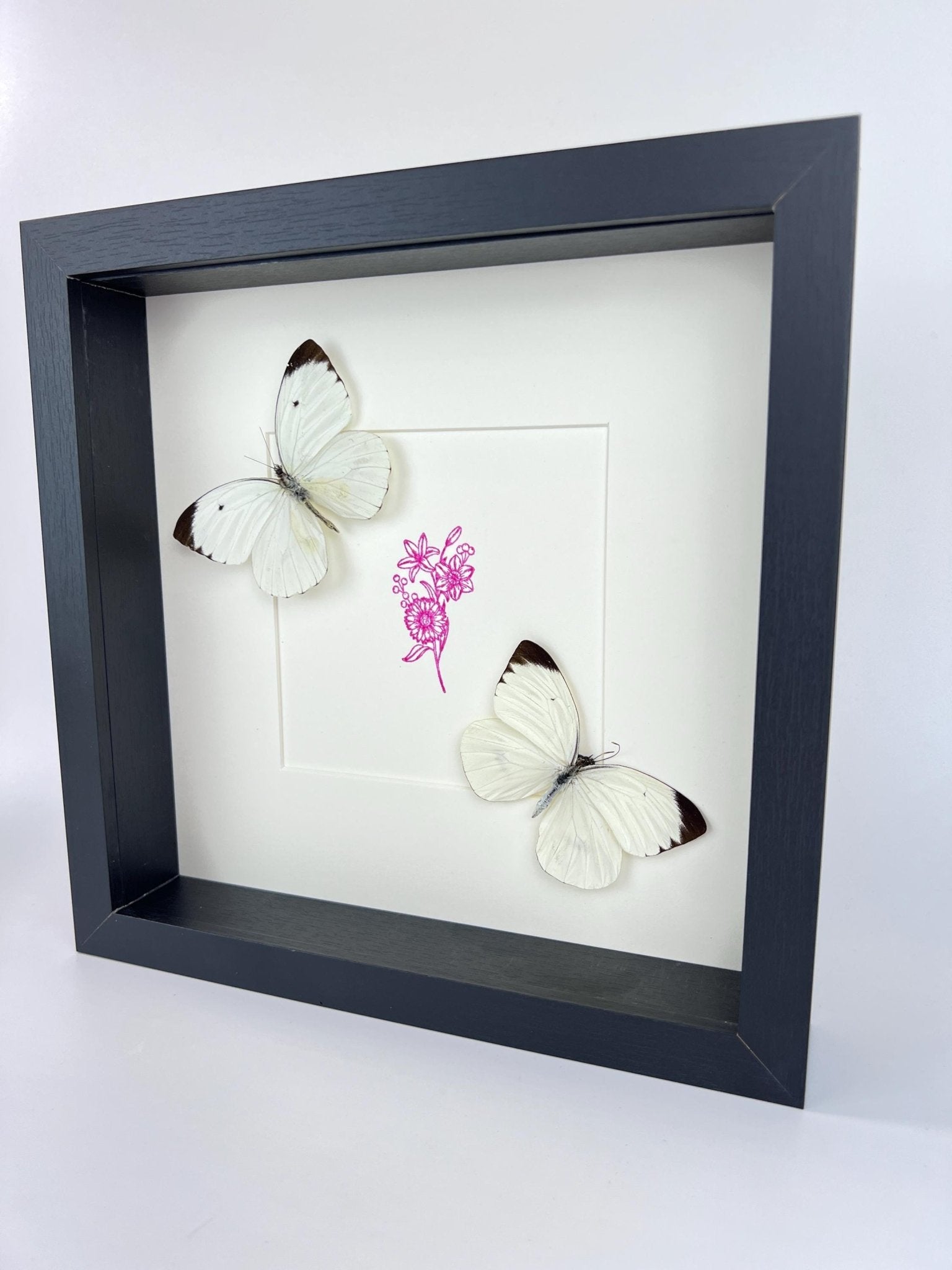 Ascia Bunaie auf violettem Blumenmuster, gerahmt von KEY LIME STORE