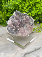 A clear glass display case containing a large, irregularly shaped crystal with a speckled surface. The crystal is placed on a marble surface, with a blurred green plant in the background.