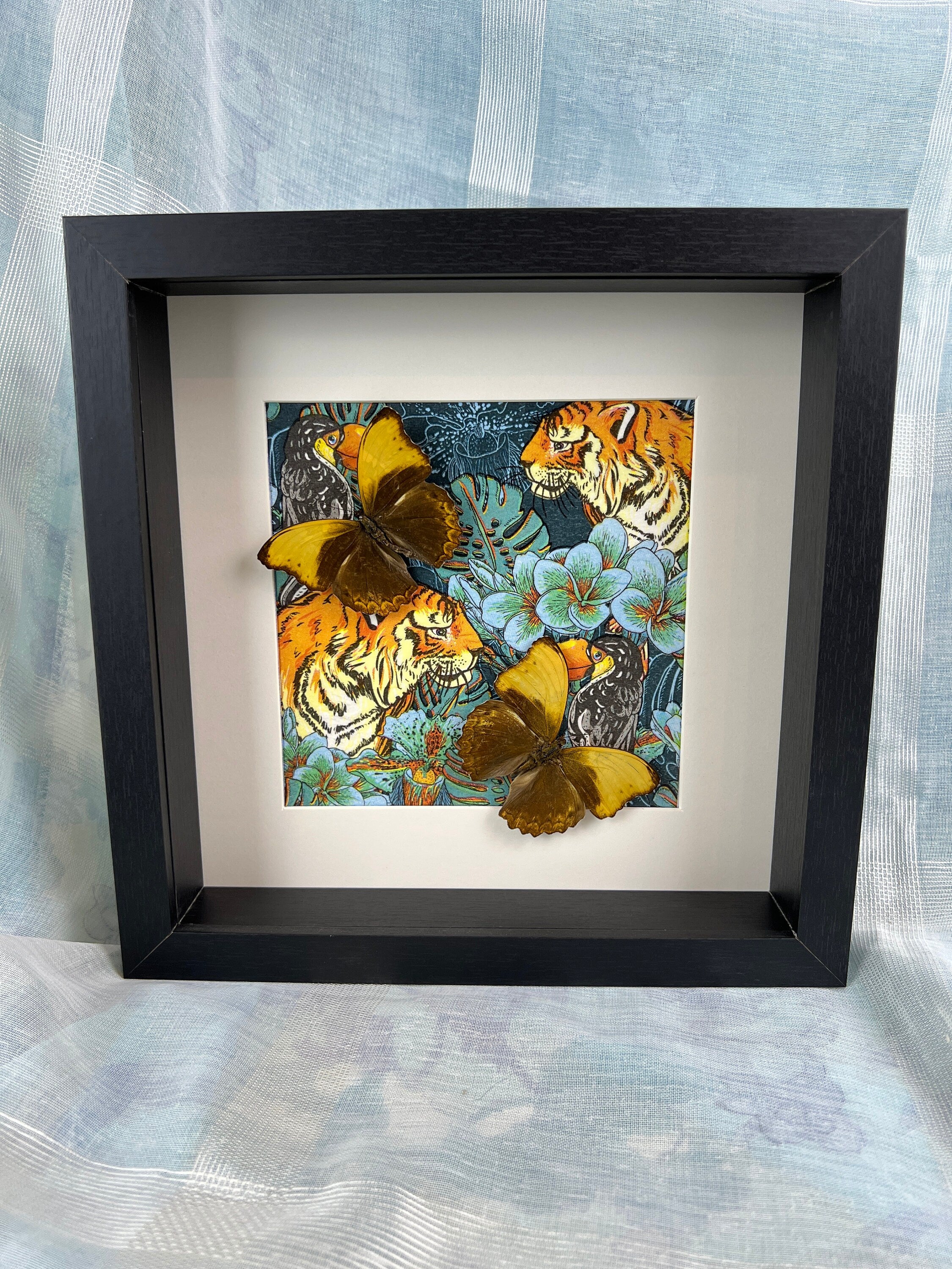 Cymothoe Haynac als Druck in einem Rahmen