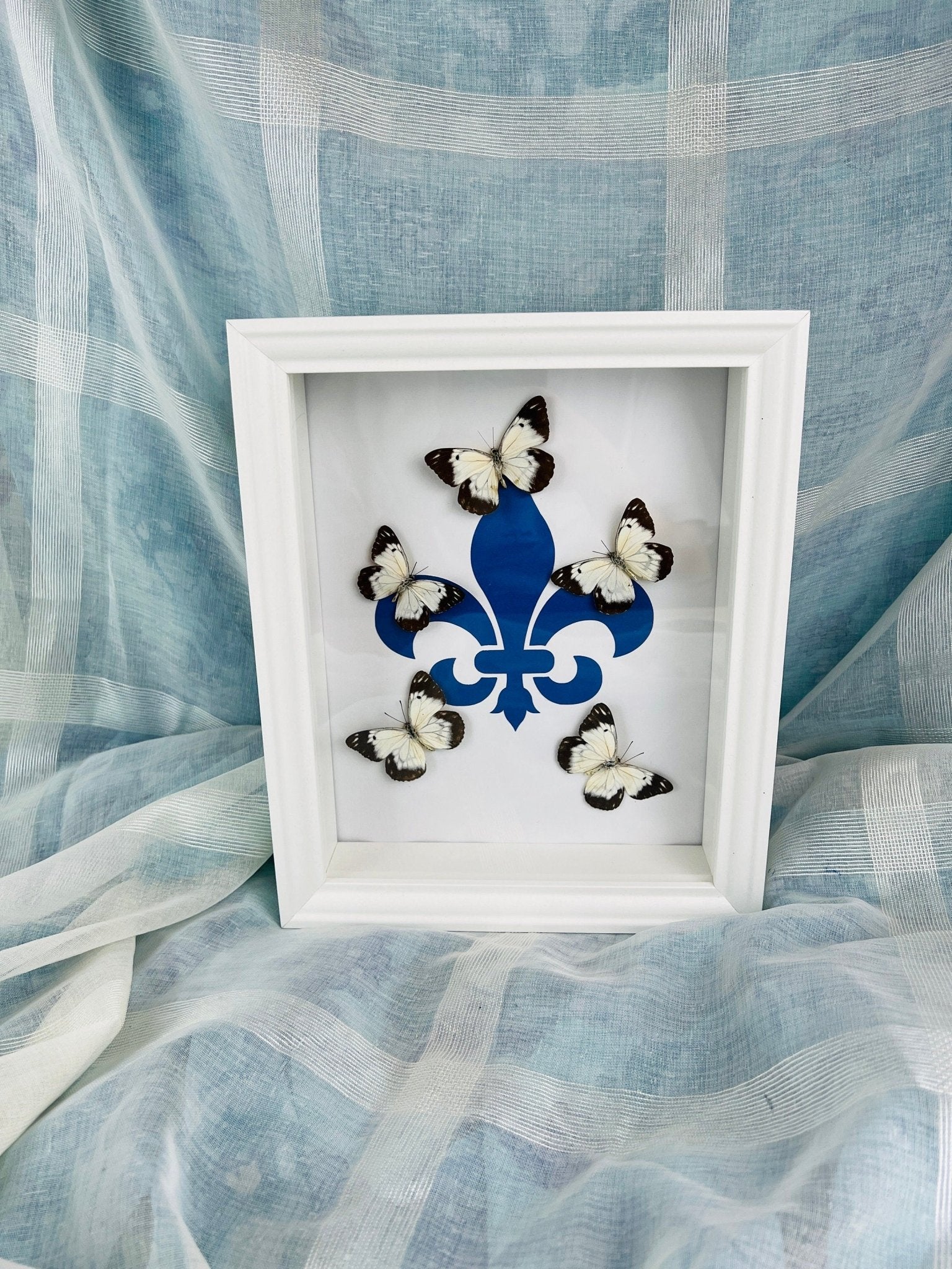 „Belenois“ mit „Fleur de Lis“-Motiv, gerahmt von KEY LIME STORE