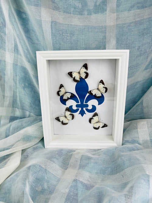 „Belenois“ mit „Fleur de Lis“-Motiv, gerahmt von KEY LIME STORE