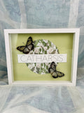 „Parantica Vitrina“ auf Catharsis-Druck, gerahmt von KEY LIME STORE