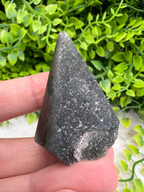 A hand is holding a black, speckled rock with a pointed end, set against a background of green foliage.