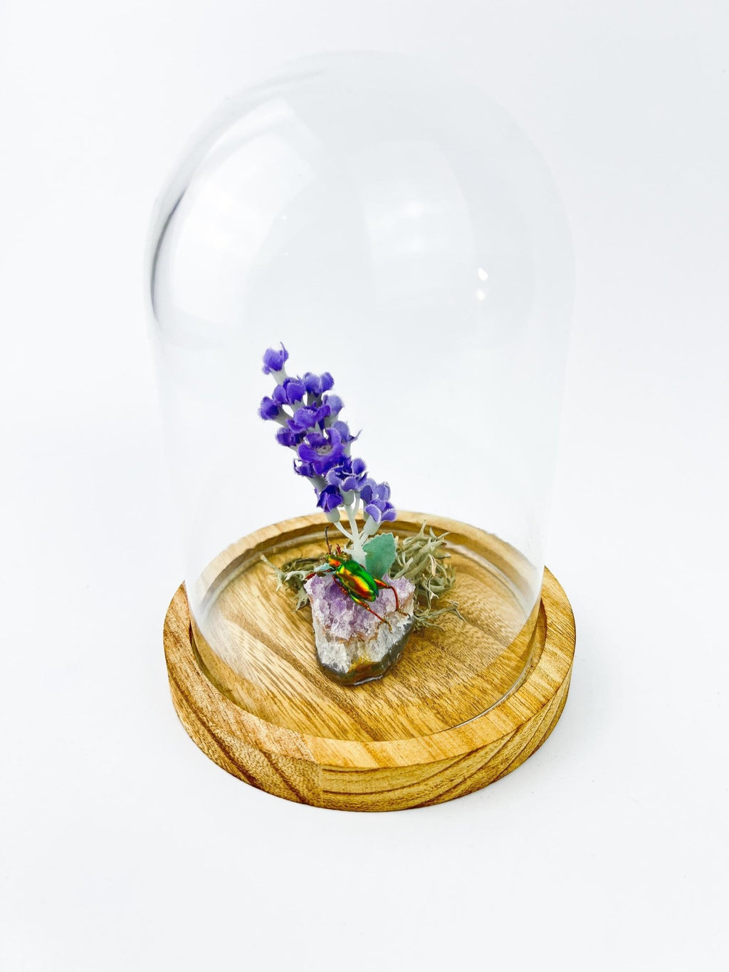 Schillernder Käfer auf Amethyst mit Lavendel und echtem Moos in einer Glasglocke von KEY LIME STORE