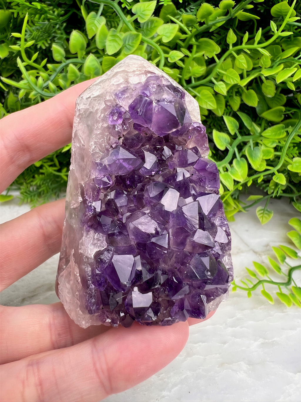 A hand is holding a crystal with a cluster of purple amethyst stones, set against a backdrop of green foliage.