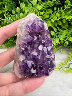 A hand is holding a crystal with a cluster of purple amethyst stones, set against a backdrop of green foliage.