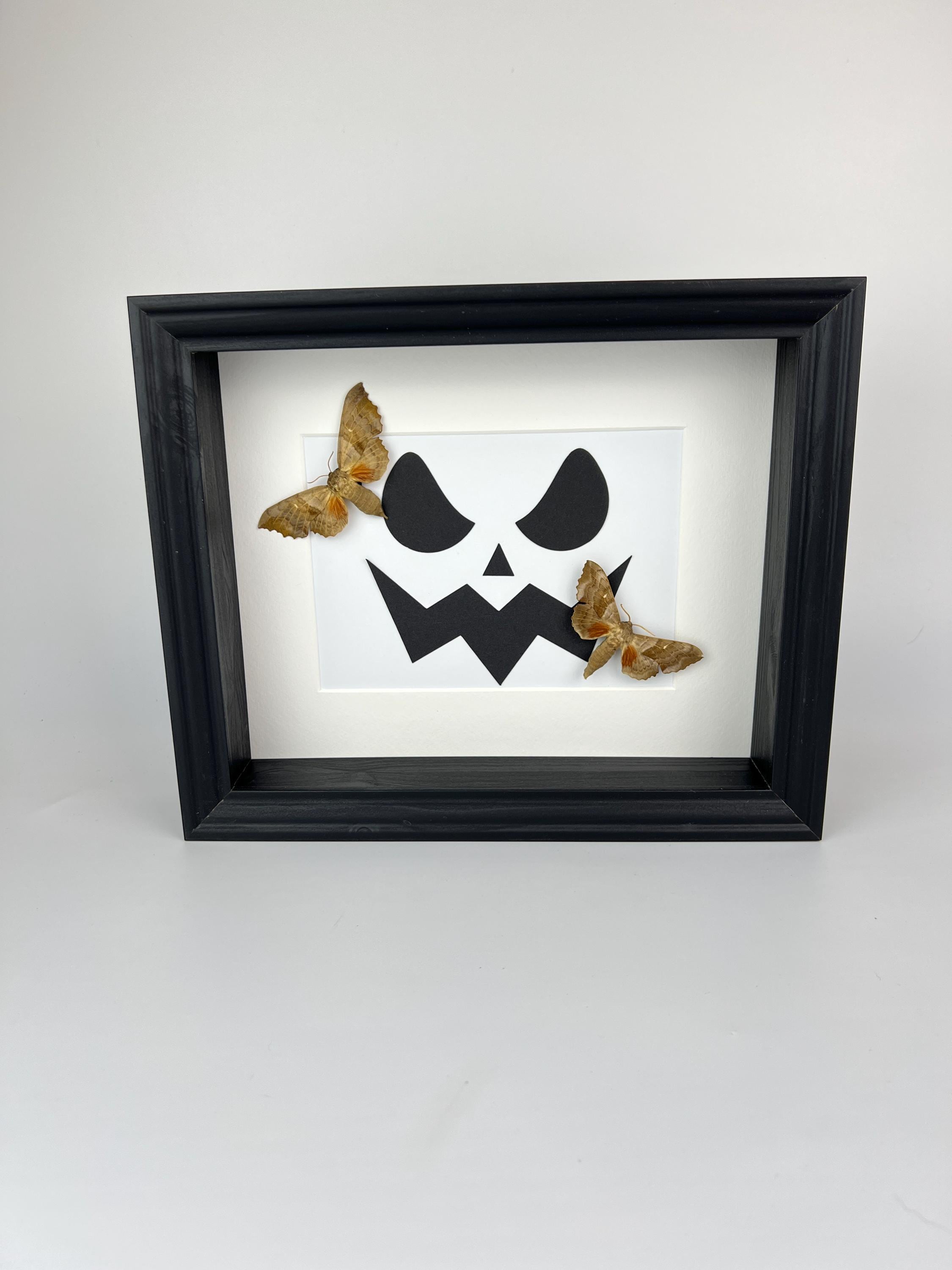 Motten op halloween print in lijst