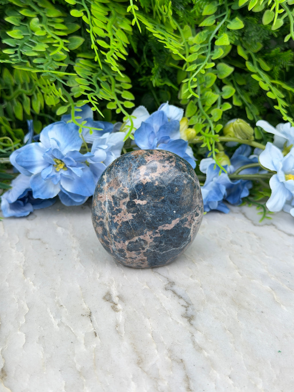 a close-up view of a blue flower and a black and brown rock, with the rock positioned on a white surface.