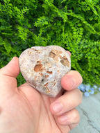 A hand holding a rock with a hole in it, set against a background of green foliage.