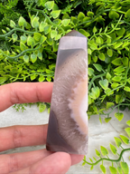 A hand is holding a jagged, gray-colored stone with a white and brown pattern, set against a backdrop of green foliage.