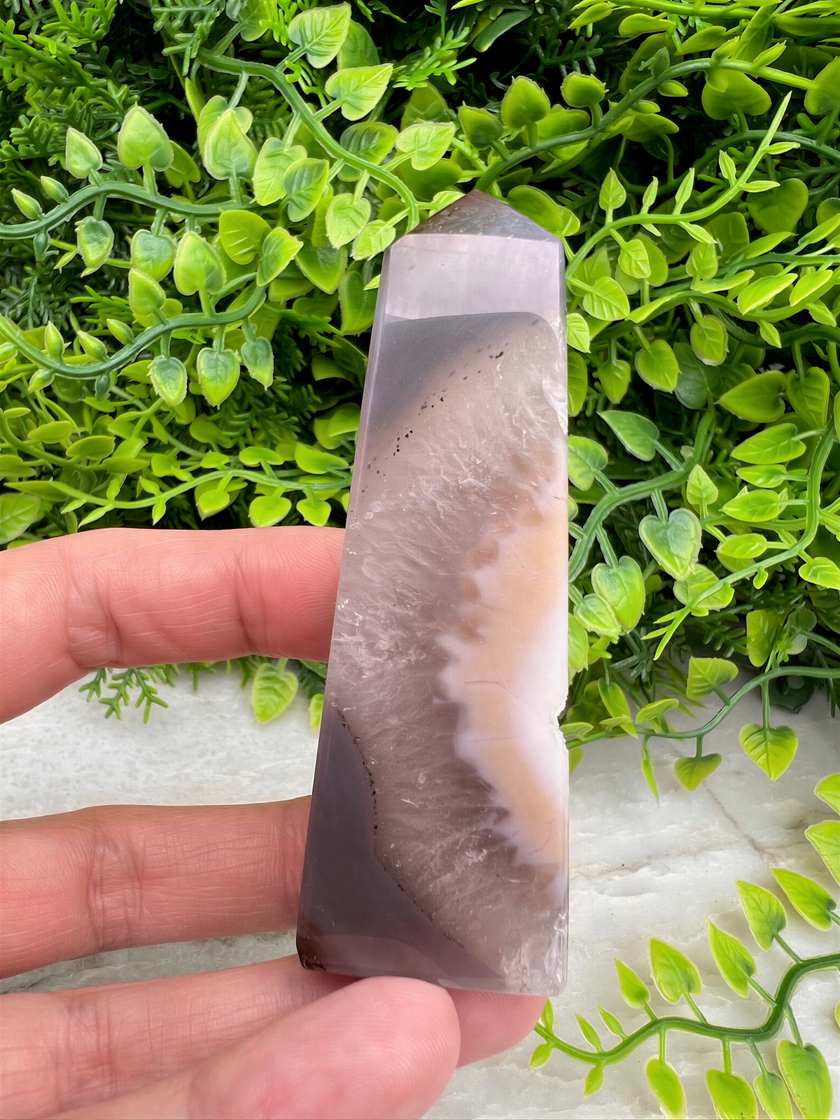 A hand is holding a jagged, gray-colored stone with a white and brown pattern, set against a backdrop of green foliage.