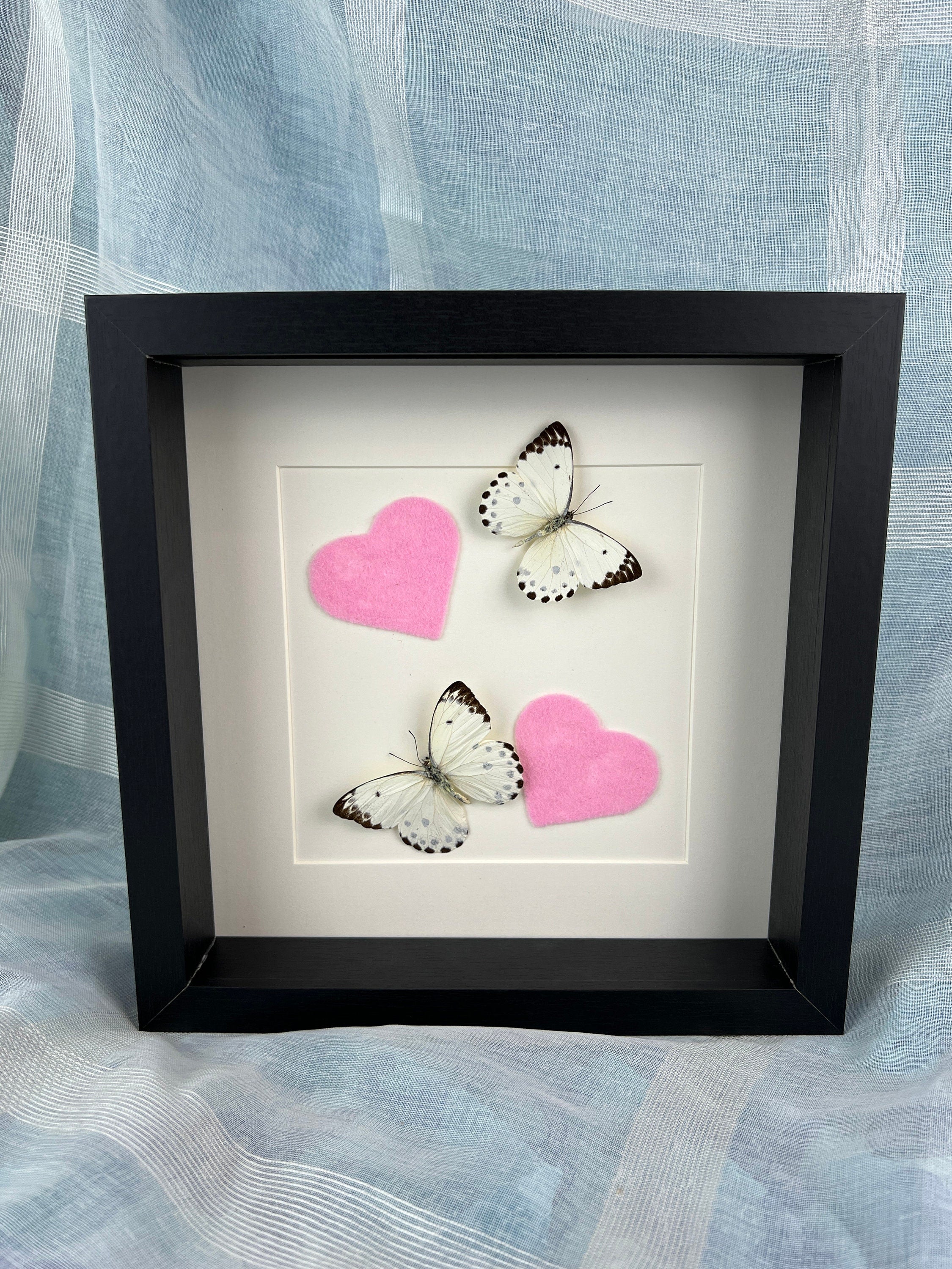 Belenois Calypso und rosa Filzherzen im Rahmen