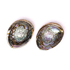 Abalone smudge schelp groene Haliotis Fulgens (±15-17cm)