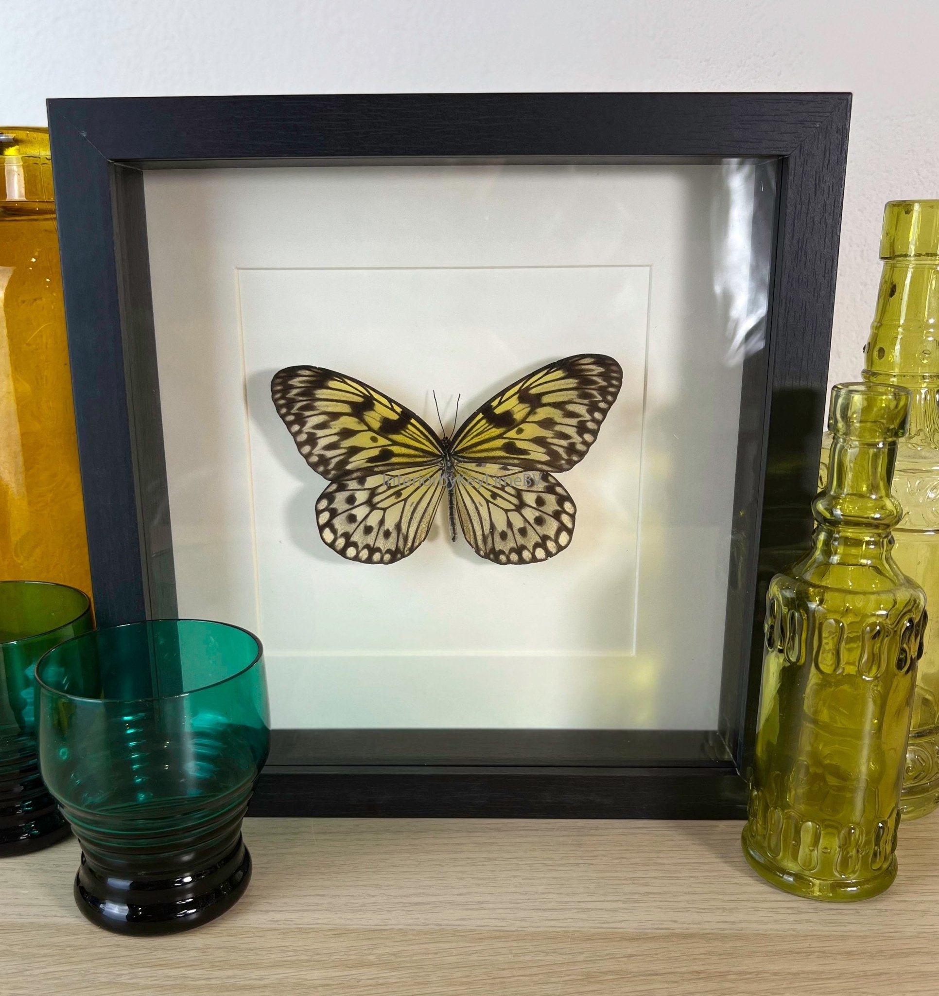 Idea Leuconoe in einem Rahmen von KEY LIME STORE