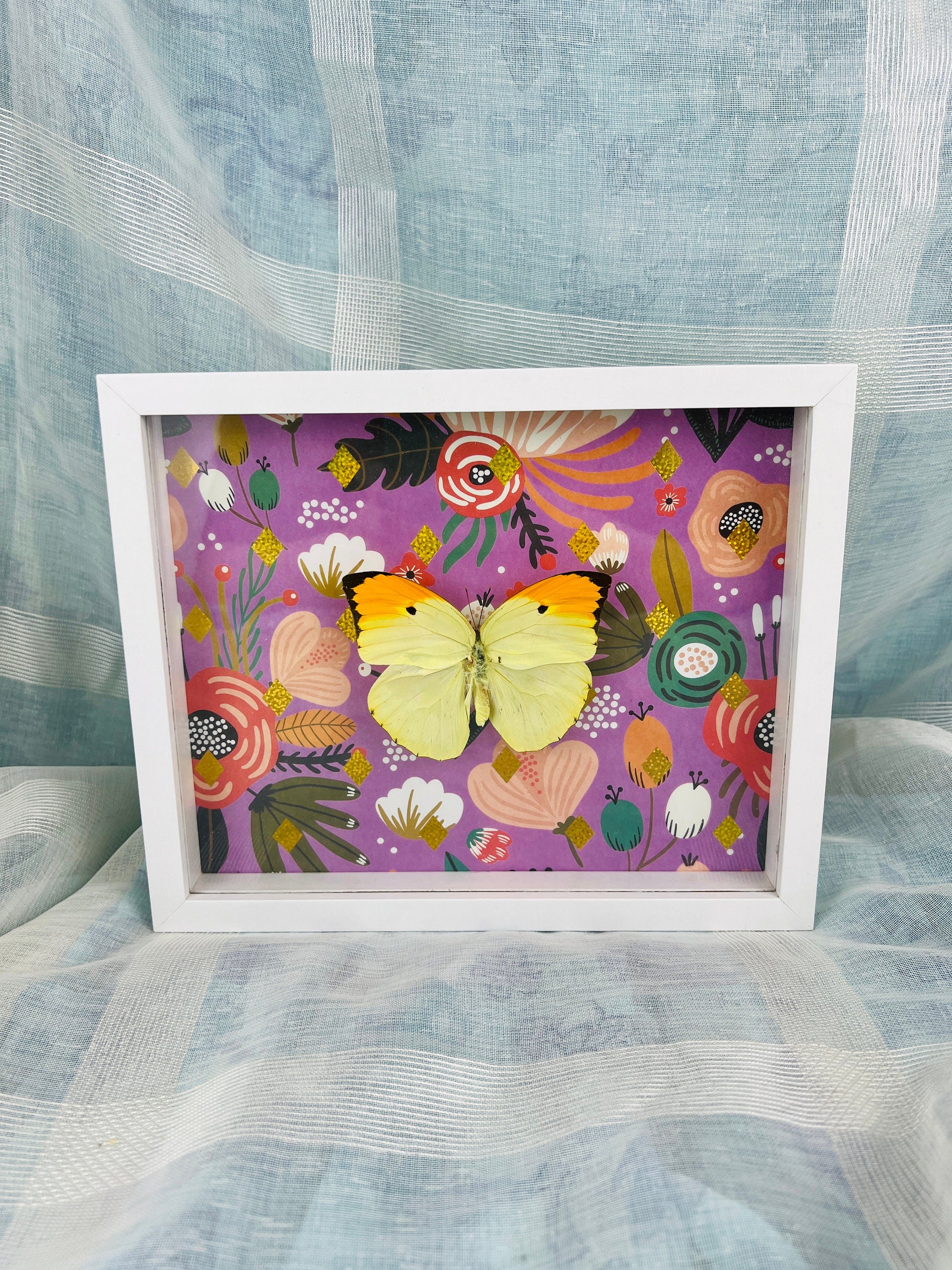 Echte vlinder | Anteos Menippe op print in lijst (23x19cm)