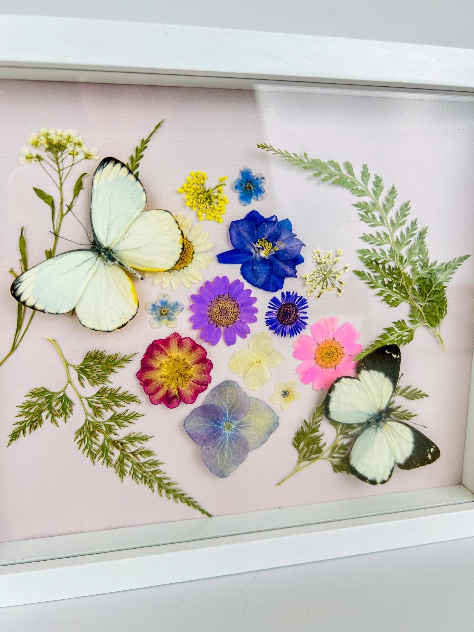 Weiße Schmetterlinge mit Trockenblumen in einem Rahmen von KEY LIME STORE