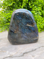 Labradoriet sculptuur