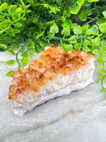 Citrin (gebrannter Amethyst) – Cluster (9 cm) von KEY LIME STORE