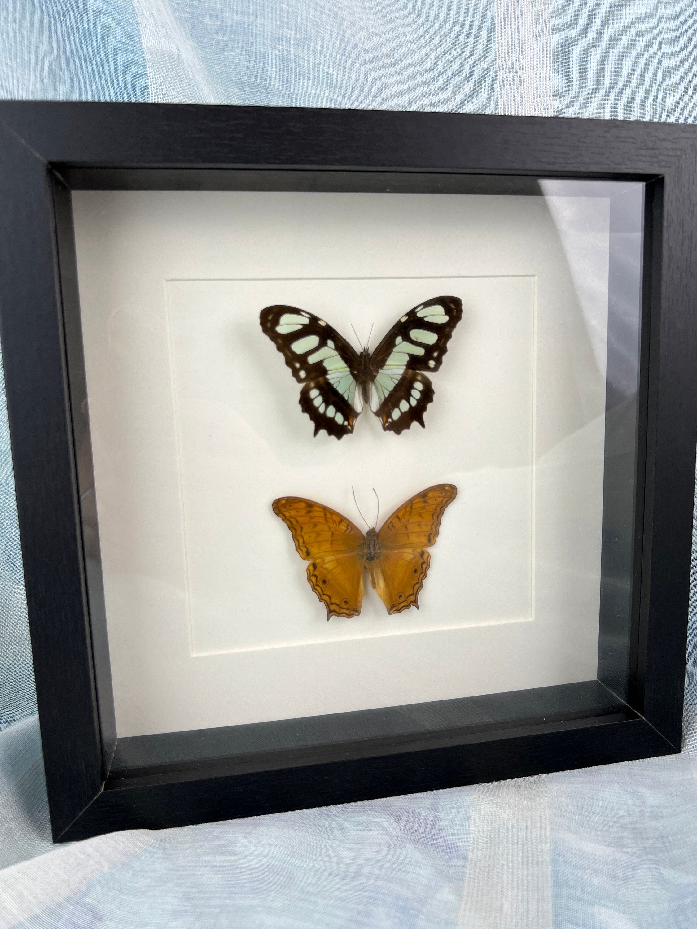 Victoria Stelenes und Vindula Dejone im Rahmen