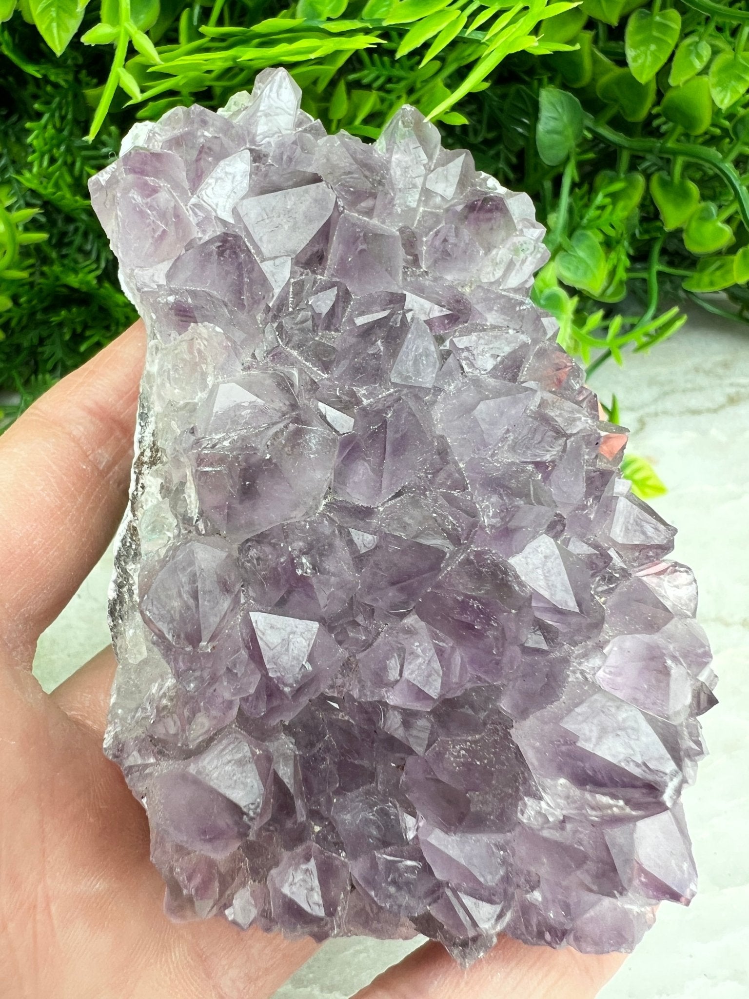 Amethist cluster (9 cm) by KEY LIME STORE