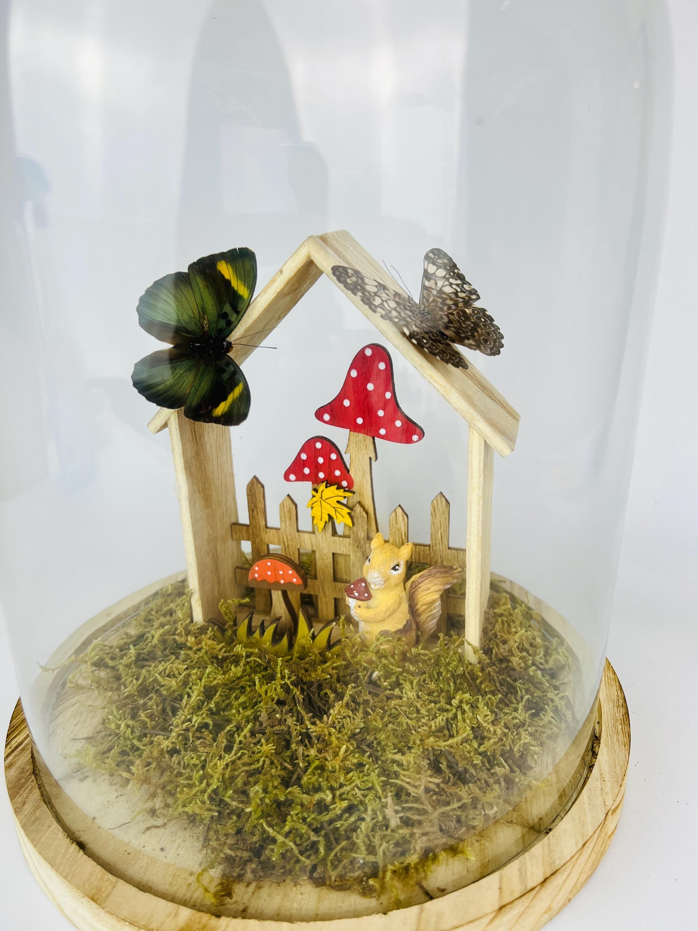 Twee vlinders op een tafereeltje in stolp