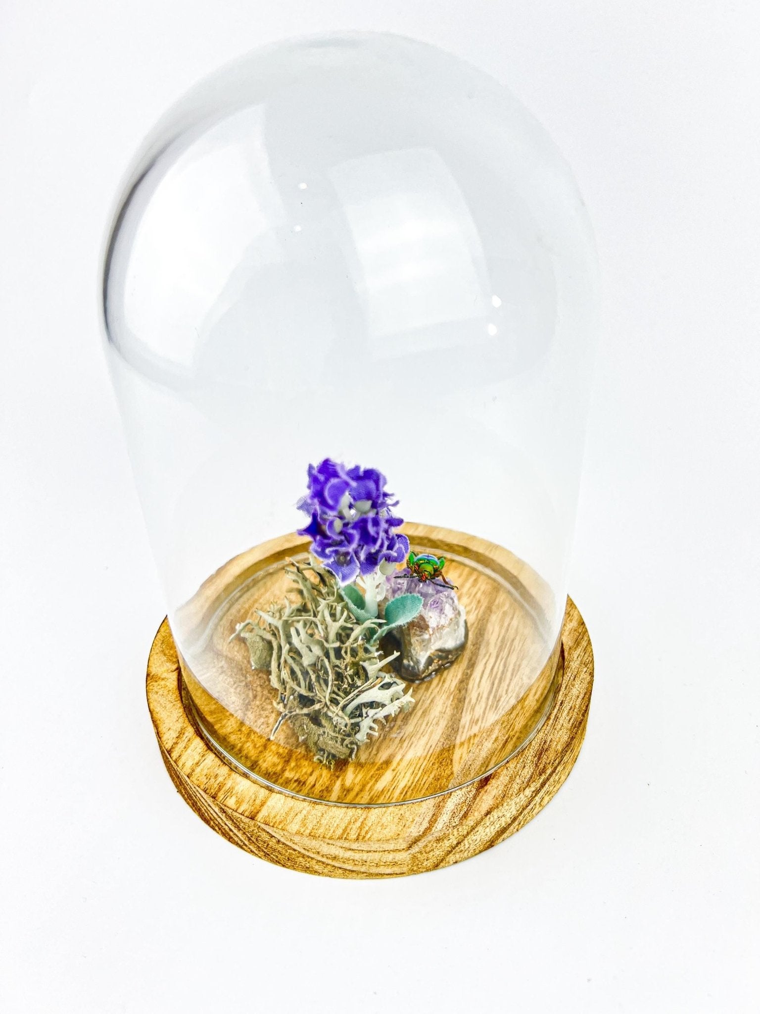 Schillernder Käfer auf Amethyst mit Lavendel und echtem Moos in einer Glasglocke von KEY LIME STORE