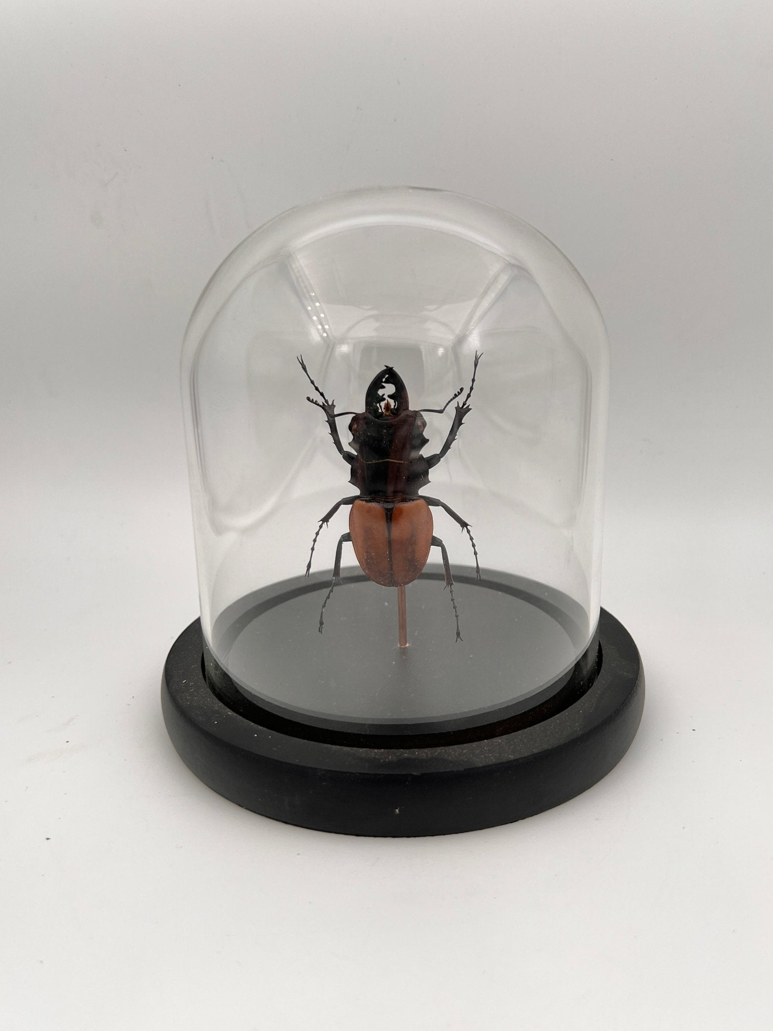 Kever in stolp by KEY LIME STORE