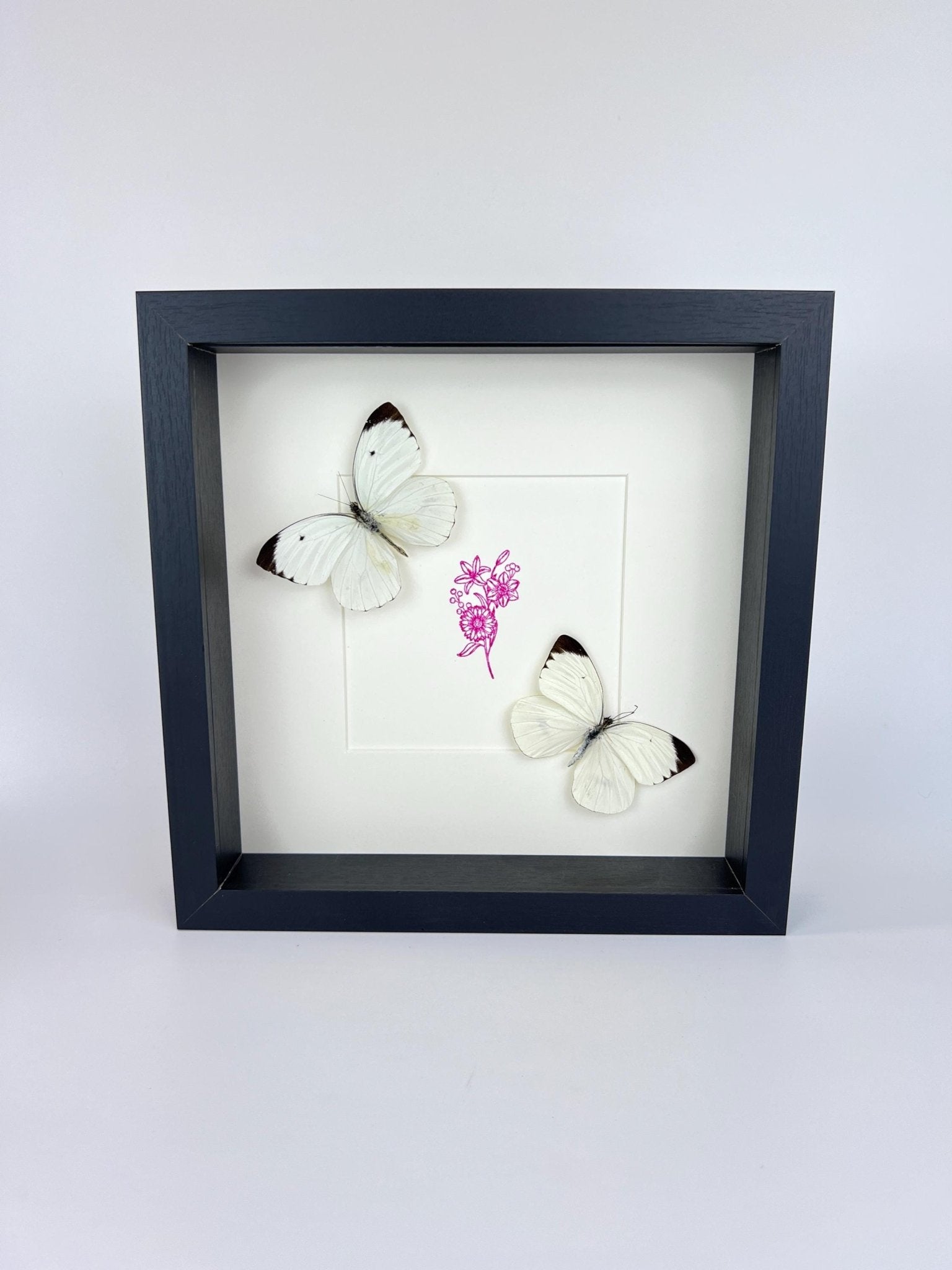 Ascia Bunaie auf violettem Blumenmuster, gerahmt von KEY LIME STORE