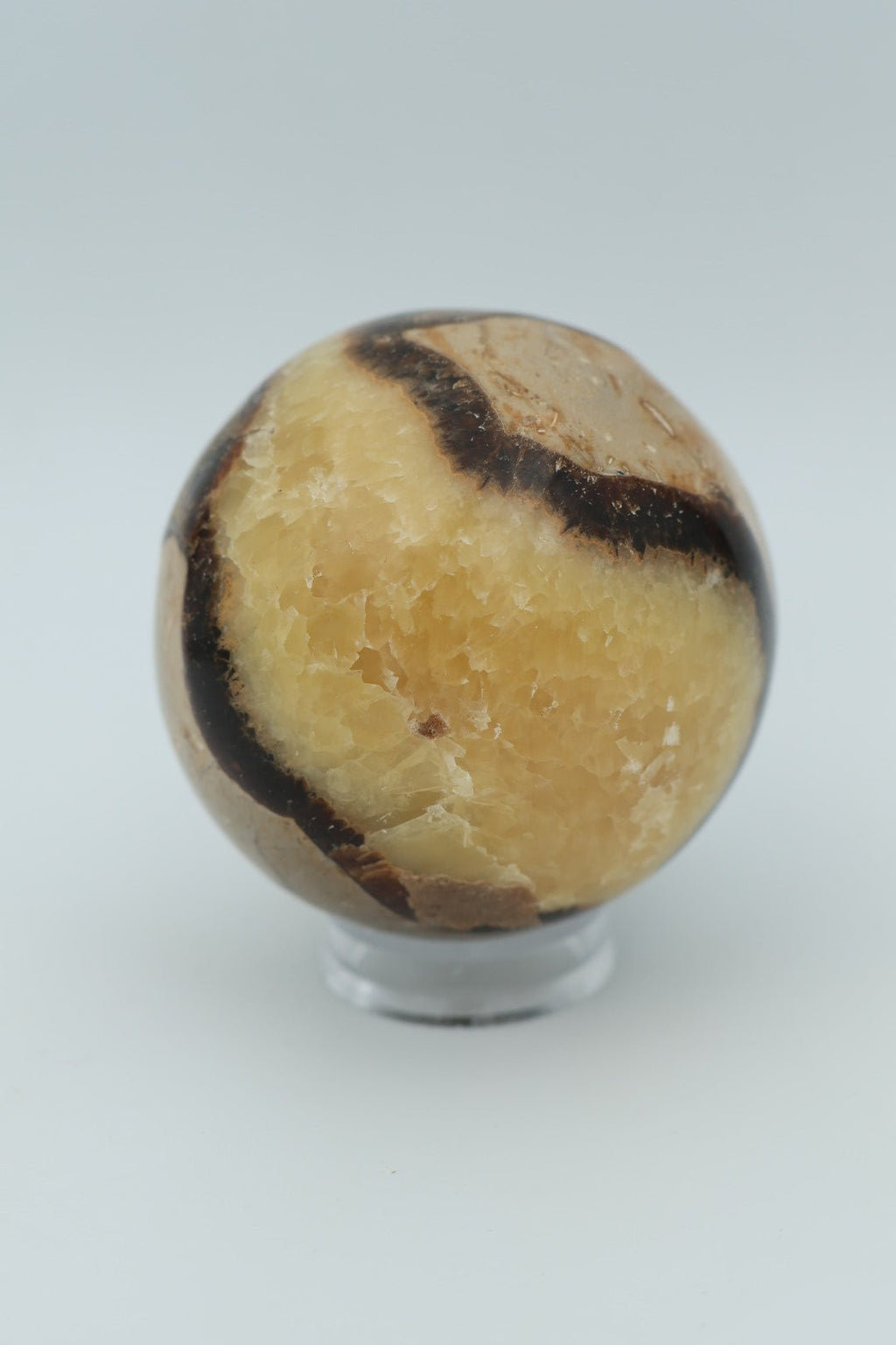 Septarie-Kugel, 0,375 Gramm, von KEY LIME STORE