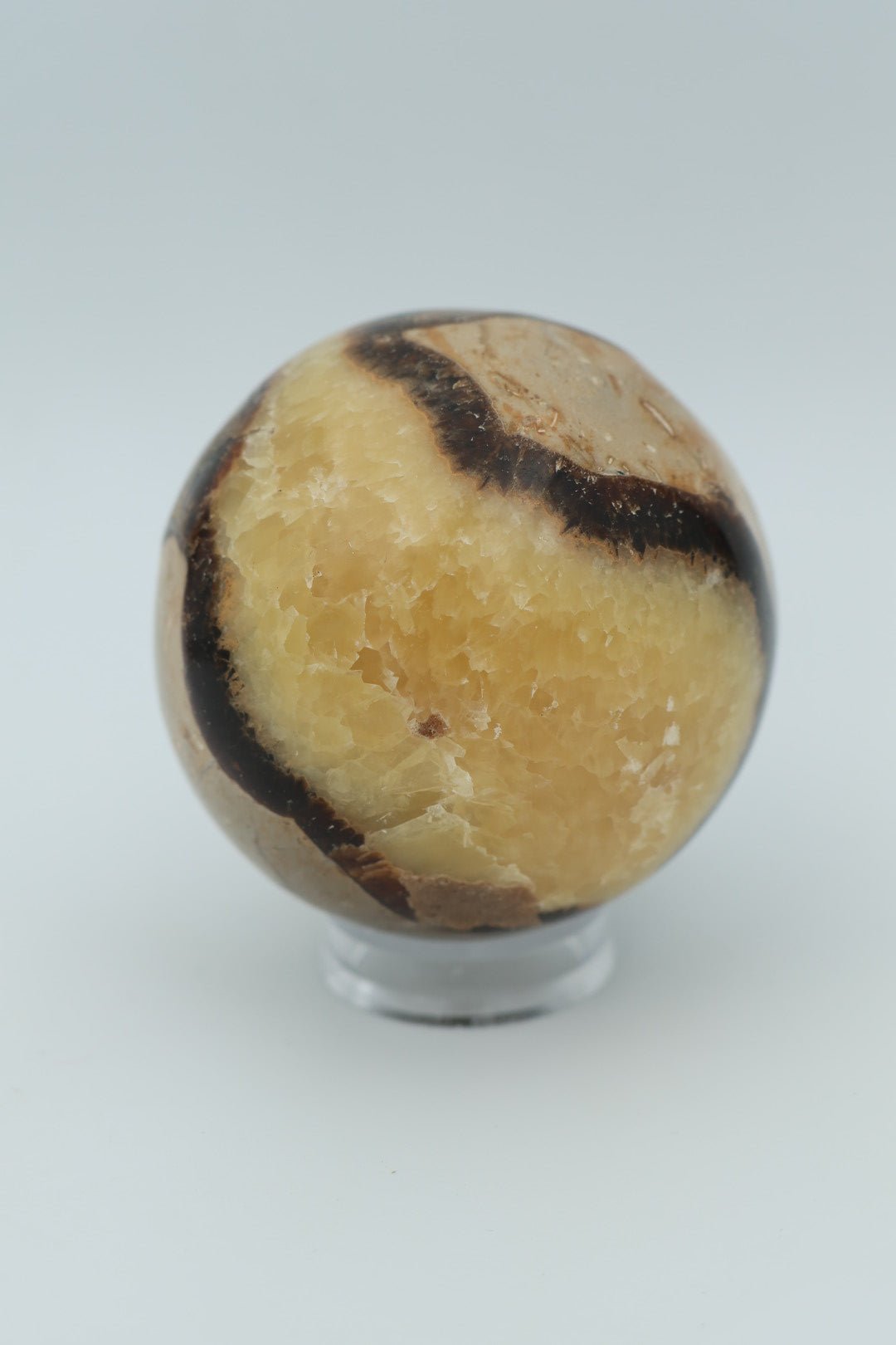 Septarie-Kugel, 0,375 Gramm, von KEY LIME STORE