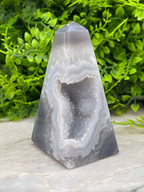 A triangular geode with a large central opening revealing a crystal-like interior, surrounded by a lush green plant.