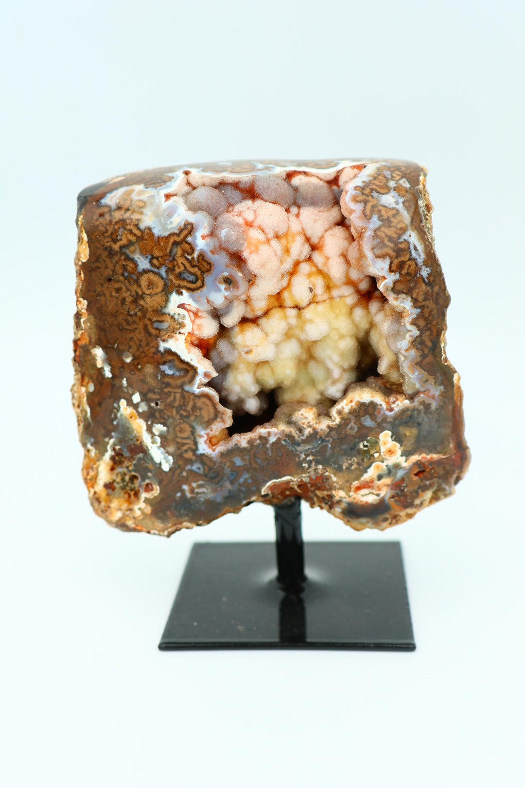 Rotsagaat op standaard 0.247 kg