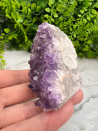 Amethist cluster cut base (6 cm)