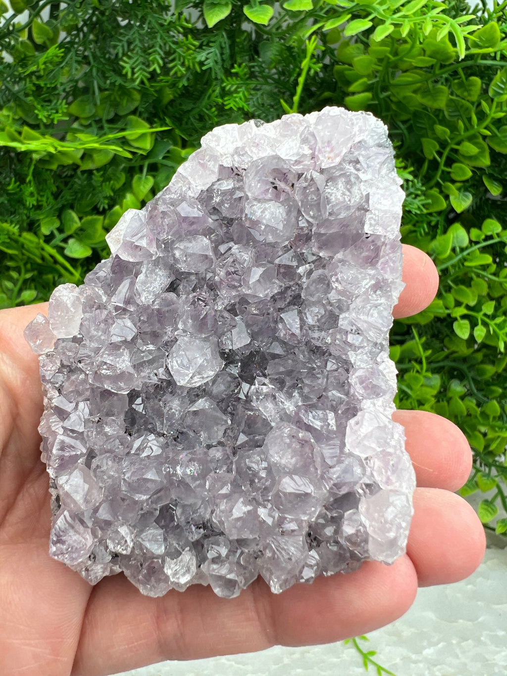 Amethyst-Cluster (6 cm) von KEY LIME STORE