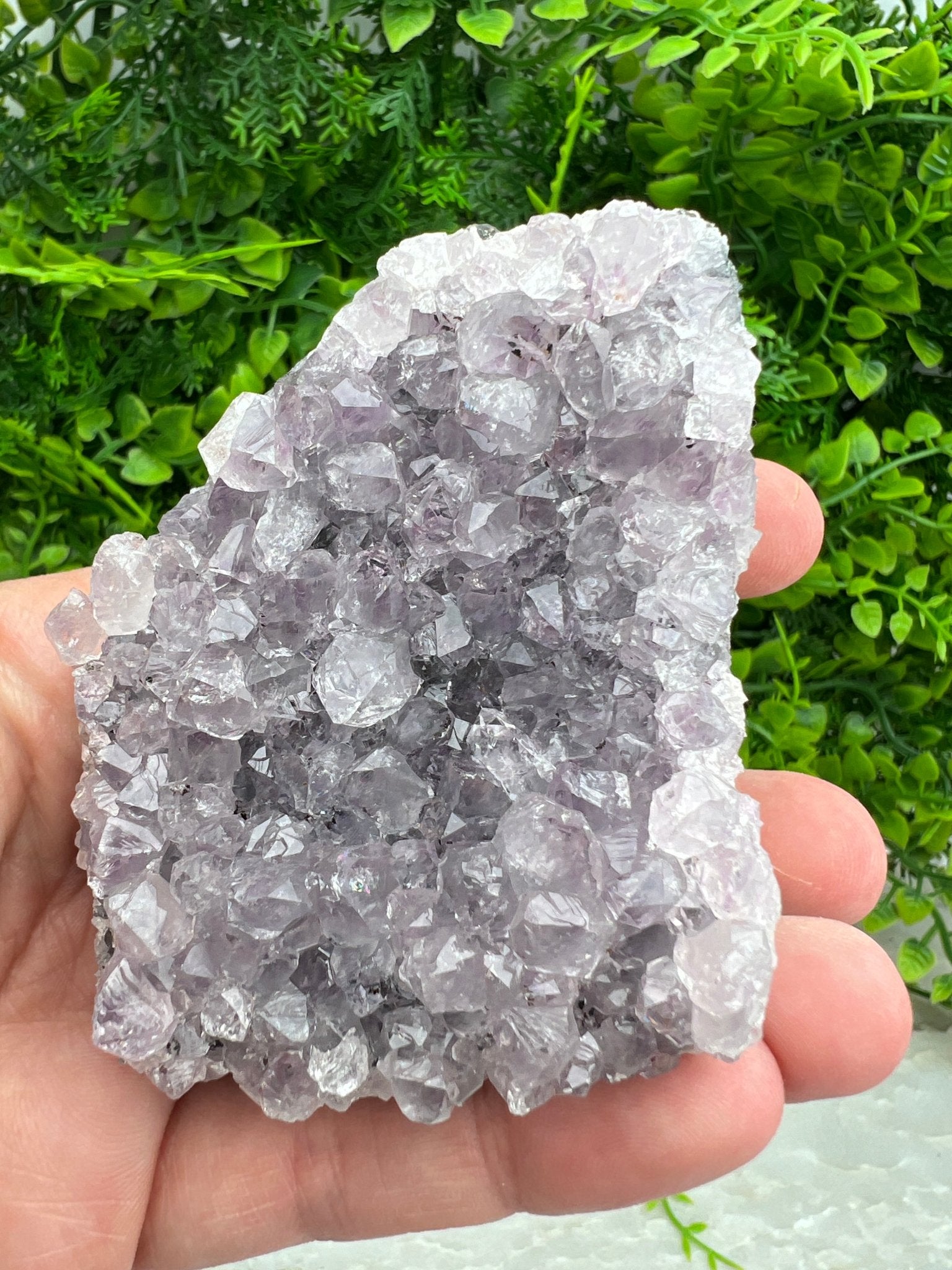 Amethyst-Cluster (6 cm) von KEY LIME STORE