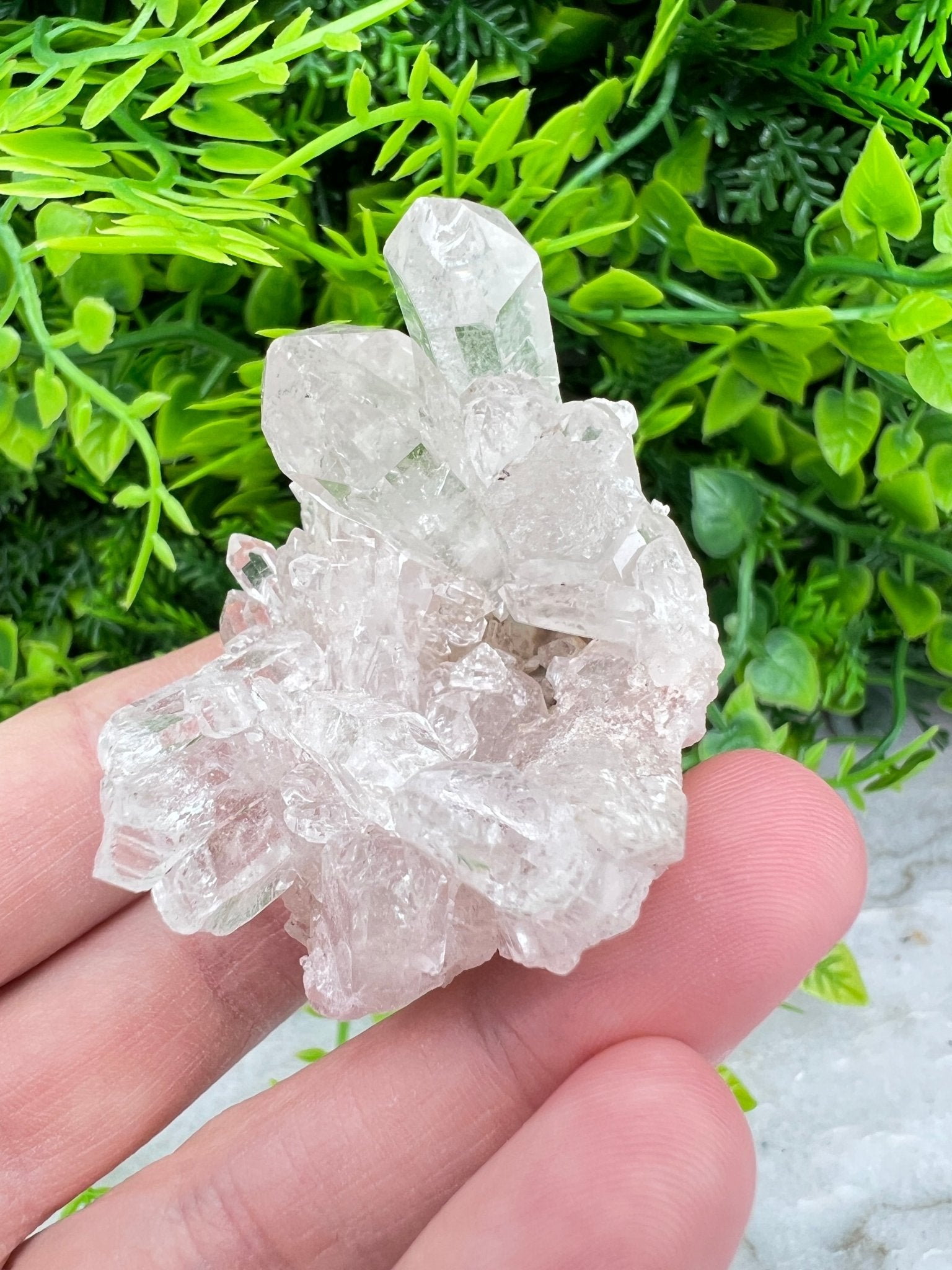 Bergkristall-Cluster (6 cm) von KEY LIME STORE