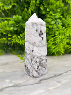 Witte Pluim Agaat toren