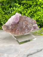 a piece of amethyst crystal placed on a clear glass stand, surrounded by greenery.