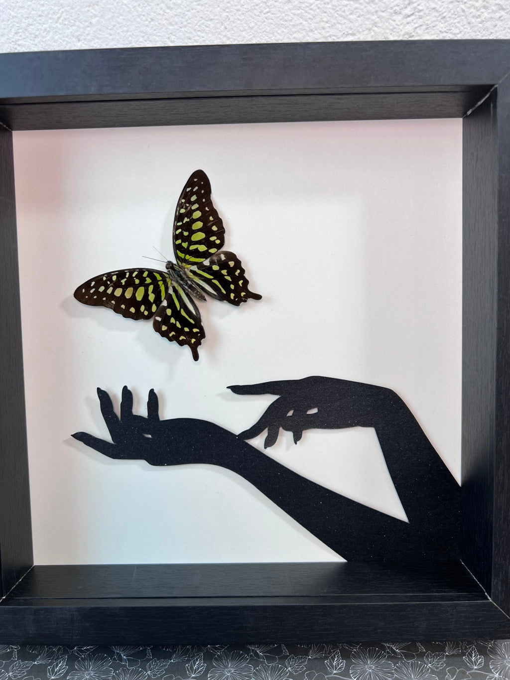 „Graphium Agamemnon“ gerahmt von KEY LIME STORE