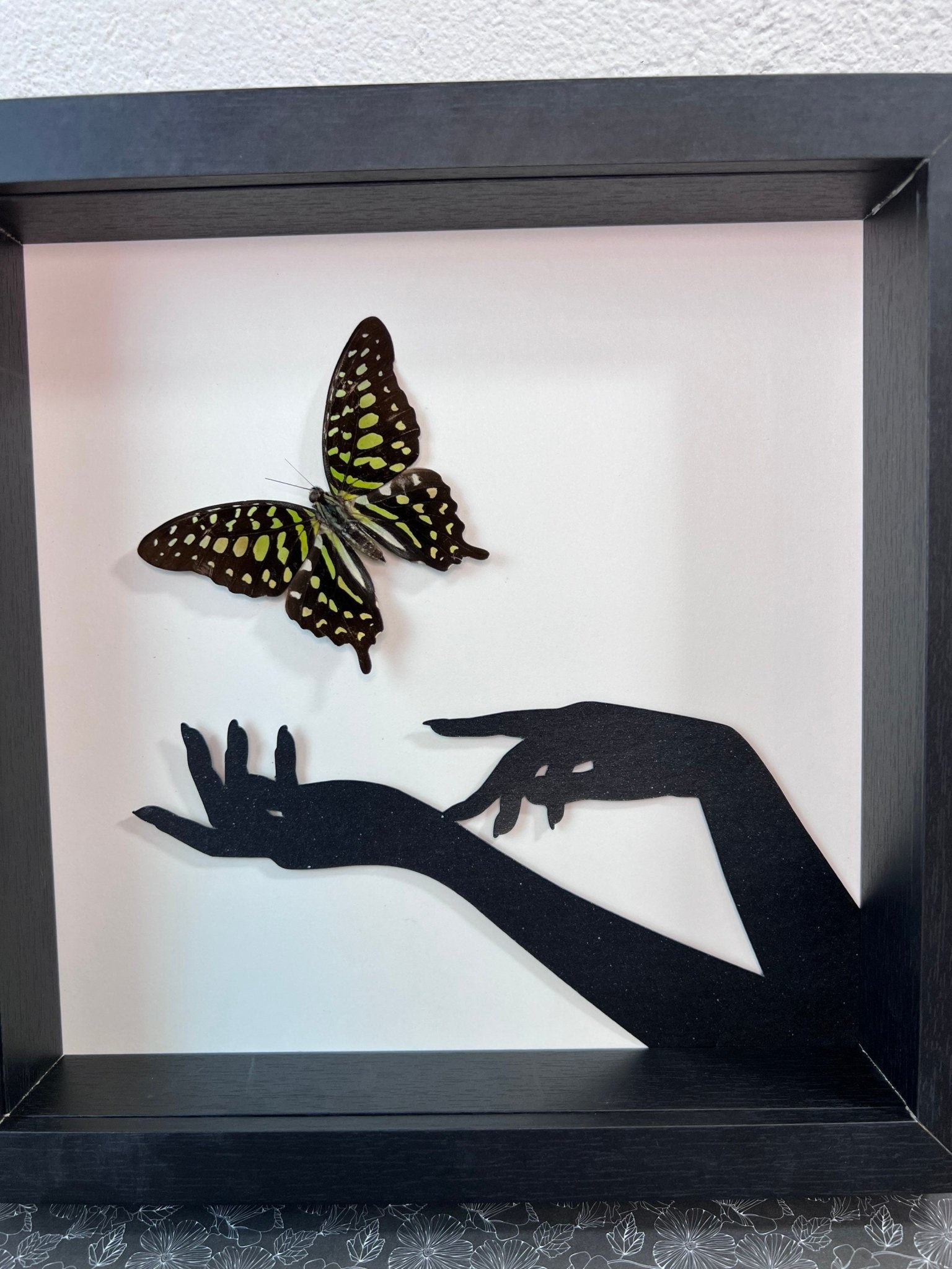 „Graphium Agamemnon“ gerahmt von KEY LIME STORE