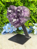 A large purple crystal formation is mounted on a black stand, surrounded by a variety of green plants and blue flowers.