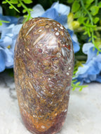 a close-up view of a rock with a unique, colorful pattern of small, circular shapes, likely formed by minerals or other natural processes. The rock is set against a backdrop of blue flowers, creating a visually striking contrast.