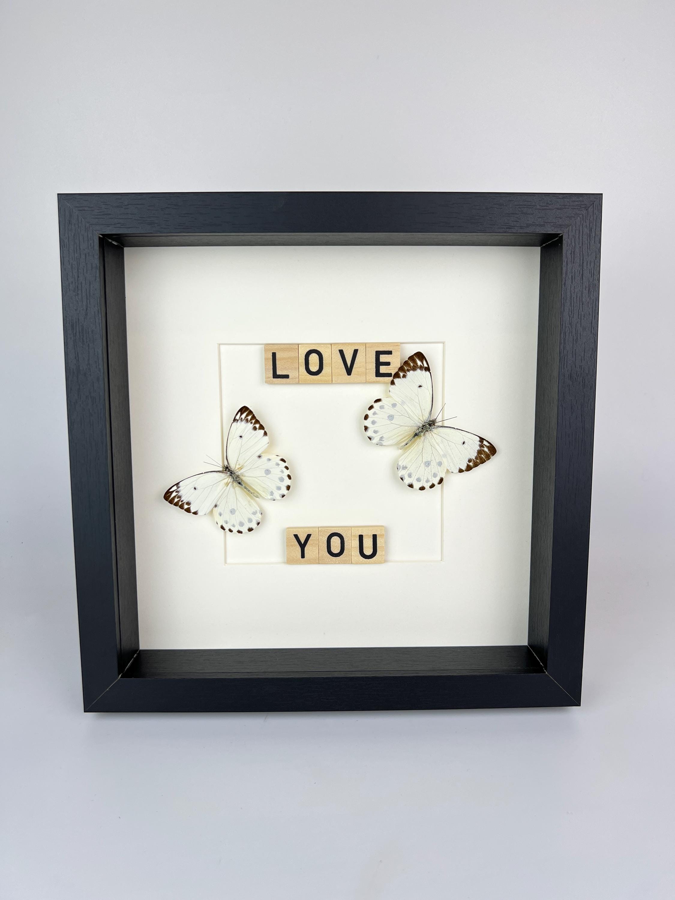 Hebemoia Leucippe-Schmetterling im Rahmen