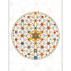 Flower of Life Notebook (12.5x9.5 cm)