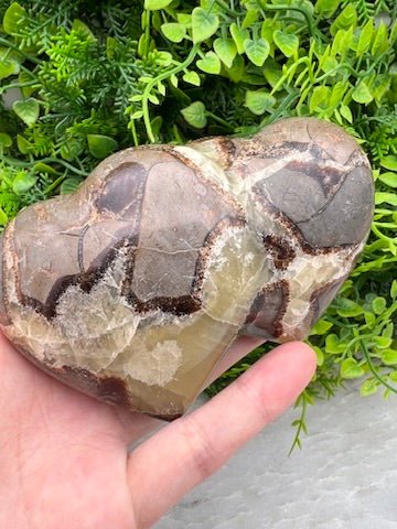 Septarie dubbele harten by KEY LIME STORE