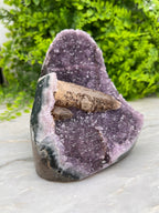 Amethist met Kwartskristal cut base - zeldzaam by KEY LIME STORE