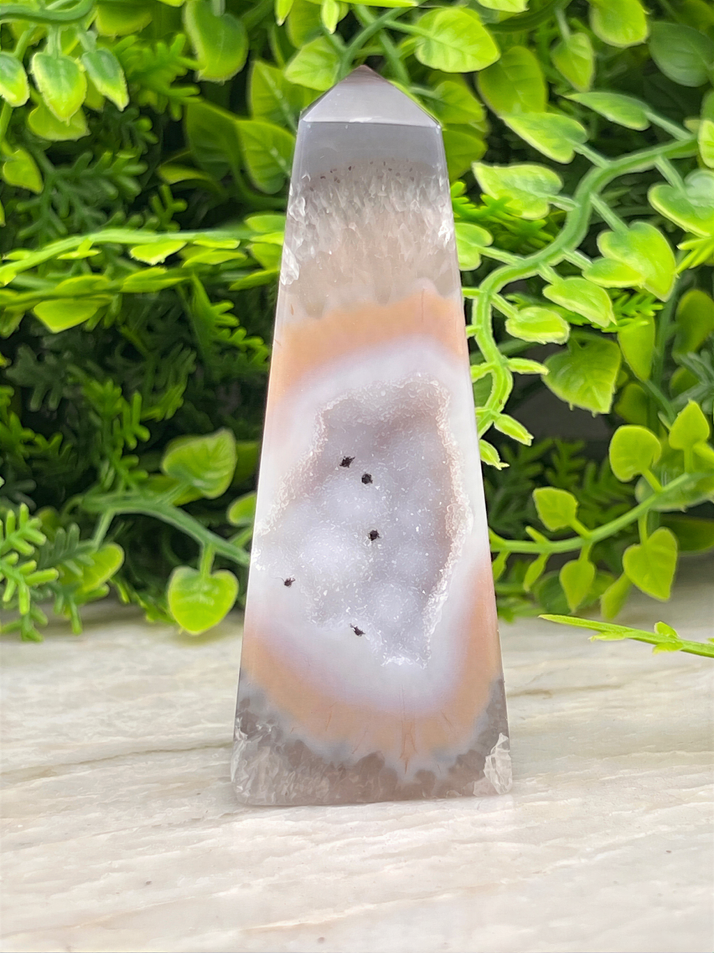 A clear geode with a unique pattern of crystals sits on a white surface, surrounded by lush green foliage.