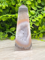 A clear geode with a unique pattern of crystals sits on a white surface, surrounded by lush green foliage.