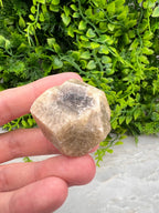 Grossulaar hexagon half ruw half gepolijst by KEY LIME STORE
